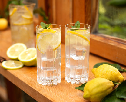 Drink Specific Glassware Highball Glass